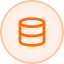 Career and Skills Services